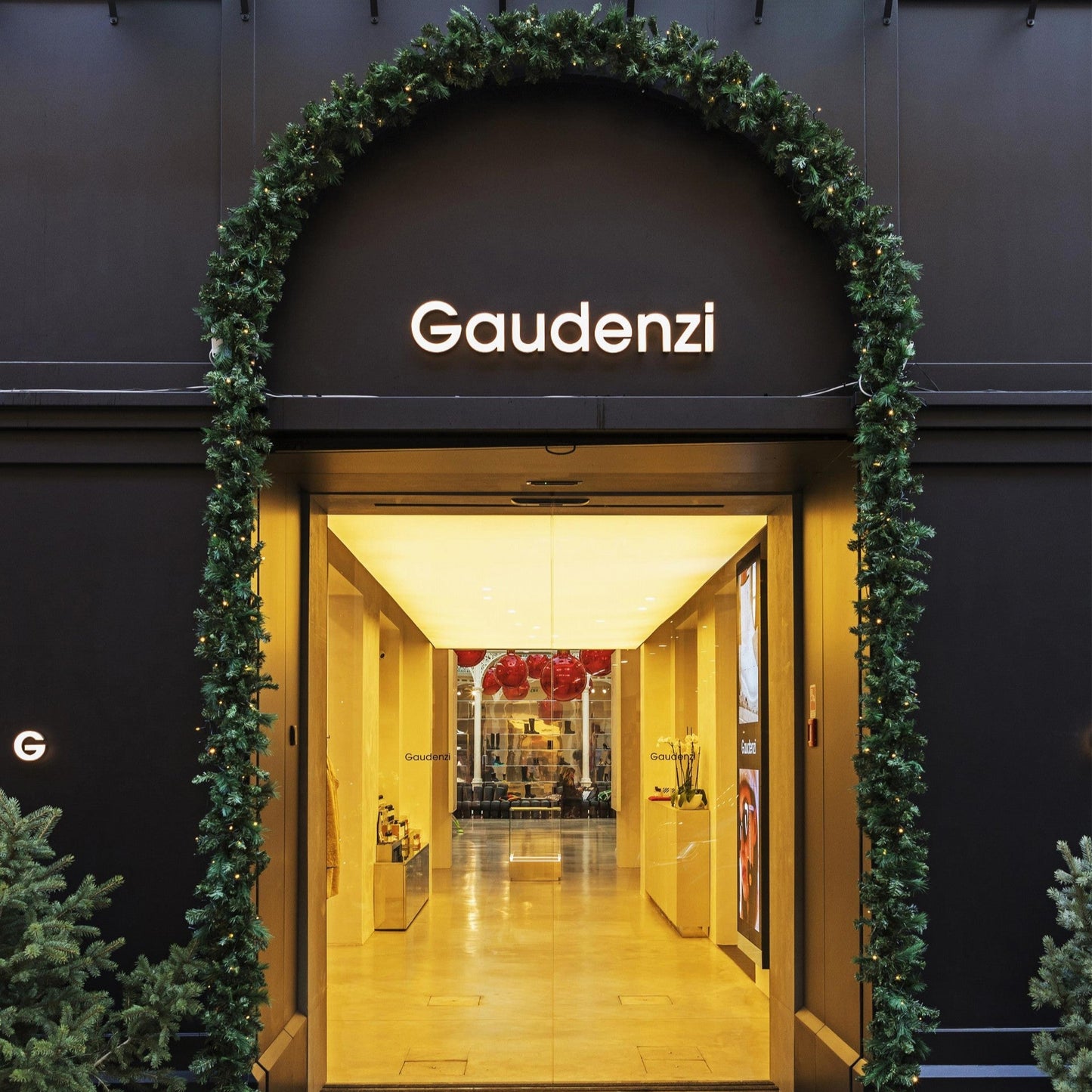 Gaudenzi